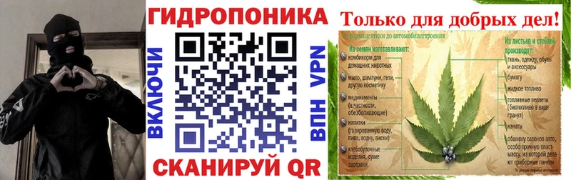 Купить закладки  Злынка  Конопля White Widow 